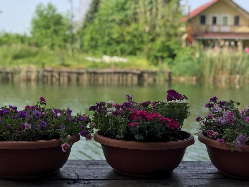 Agva Sweet Home River Hotel Şile Exterior photo