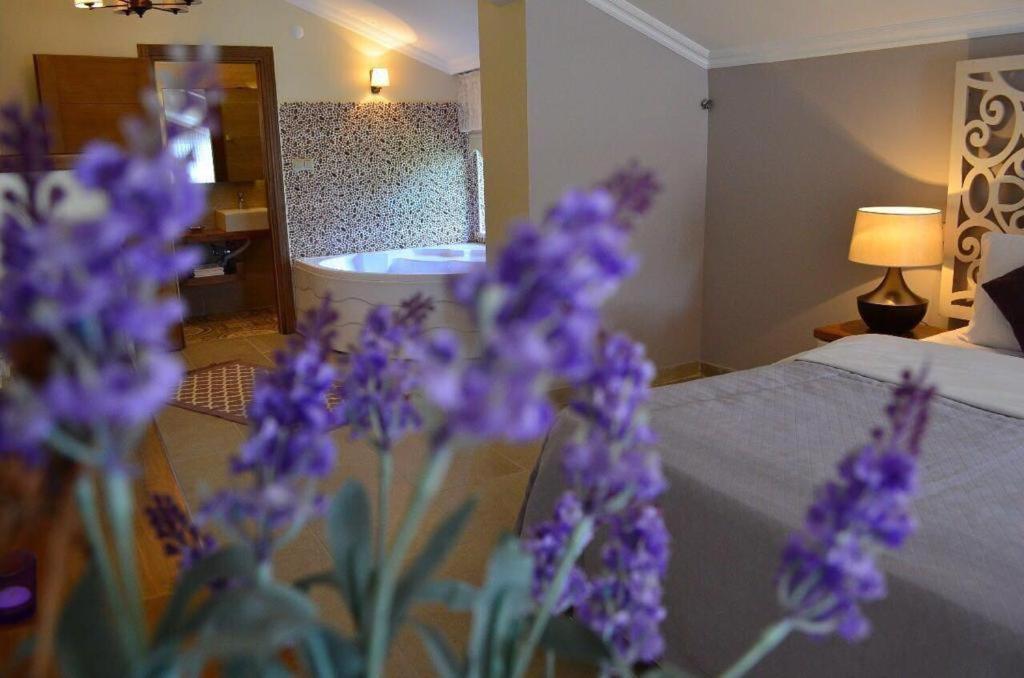 Agva Sweet Home River Hotel Şile Exterior photo